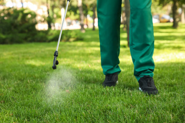 Best Local Pest Control Services  in Weston, MO