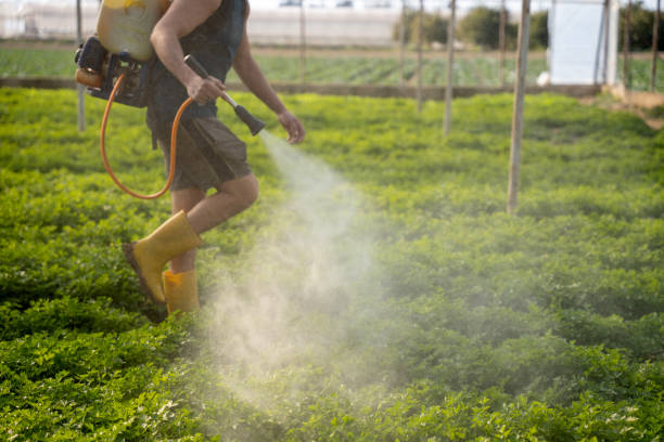 Best Affordable Pest Control Services  in Weston, MO