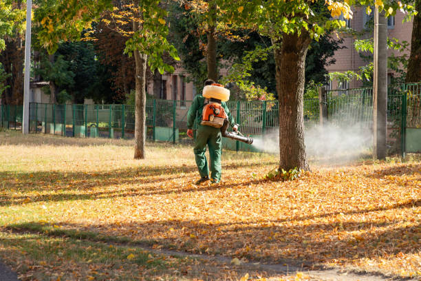 Best Pest Control Treatment  in Weston, MO